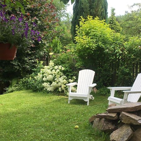 Willa Schmetterling Villa Duszniki Zdroj Ngoại thất bức ảnh